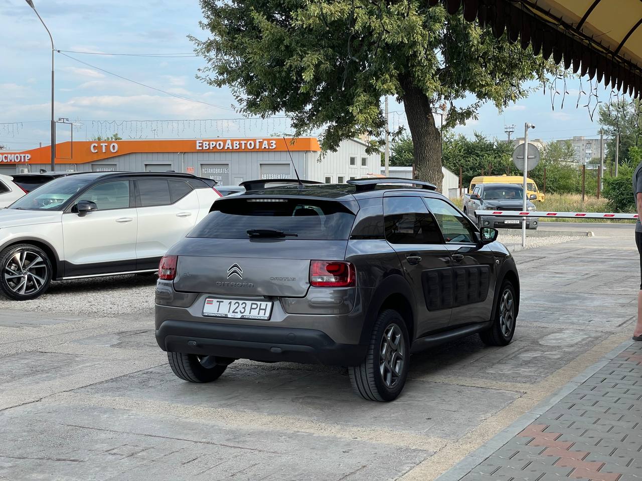 Citroen Cactus