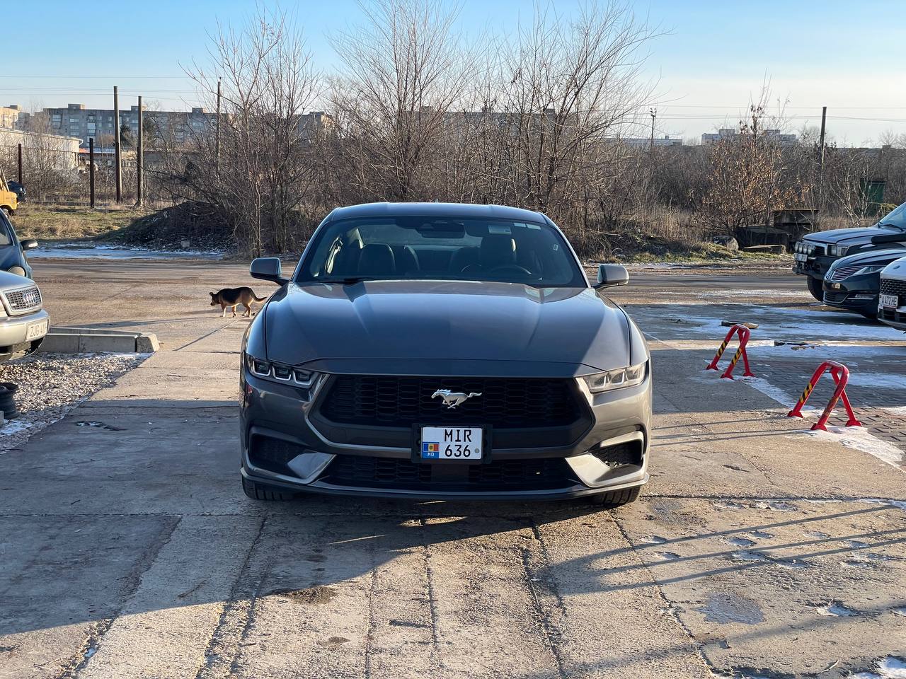 Ford Mustang