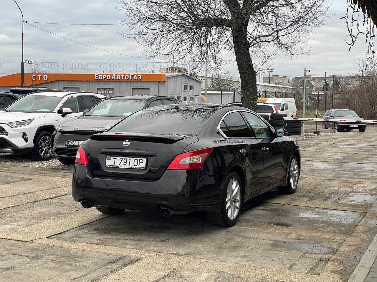 Nissan Maxima
