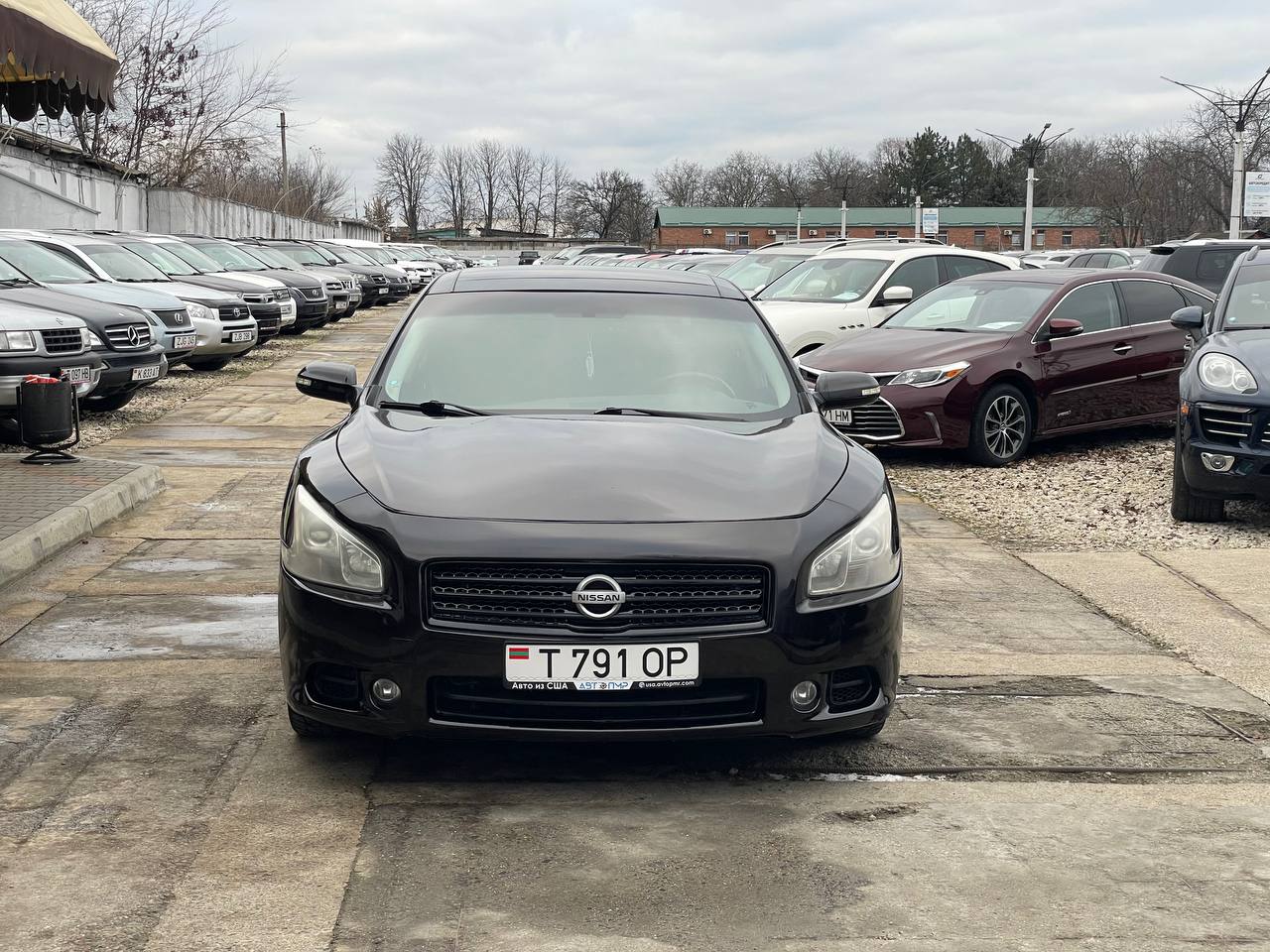 Nissan Maxima