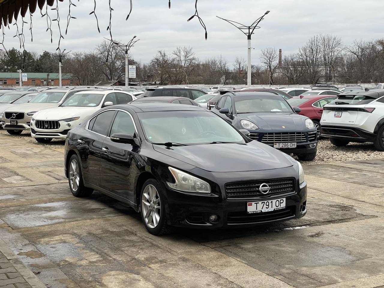 Nissan Maxima