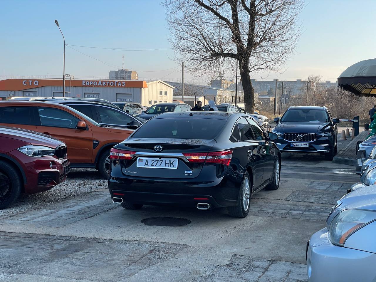 Toyota Avalon Hybrid